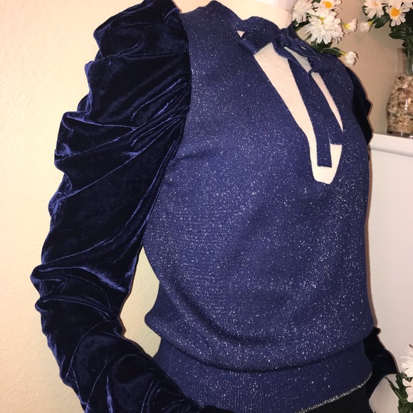 🚨LAST CHANCE 🚨Free People Blue Velvet Sweater - Picture 2 of 8
